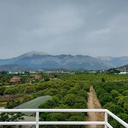 Uk Kırış 4*